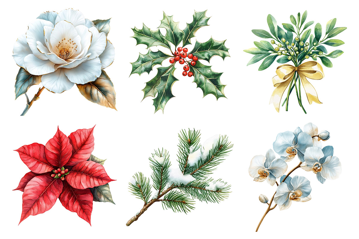 Watercolor Christmas Floral Clipart, an Illustration by Daily.Designs (Photo 4 of 5)