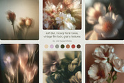 Grainy Film Floral Backgrounds, a Background Graphic by alenaganzhela (Thumbnail 6 of 8)