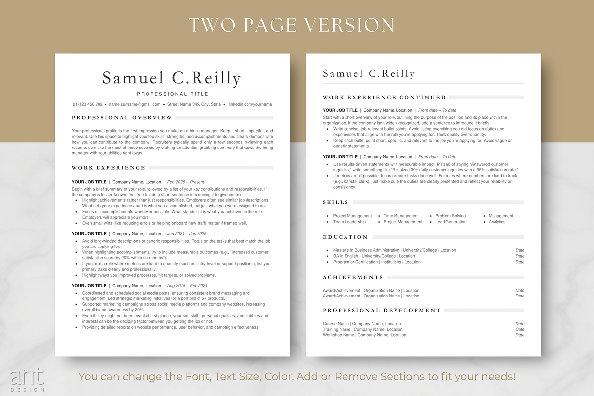Professional ATS Resume Template preview 3