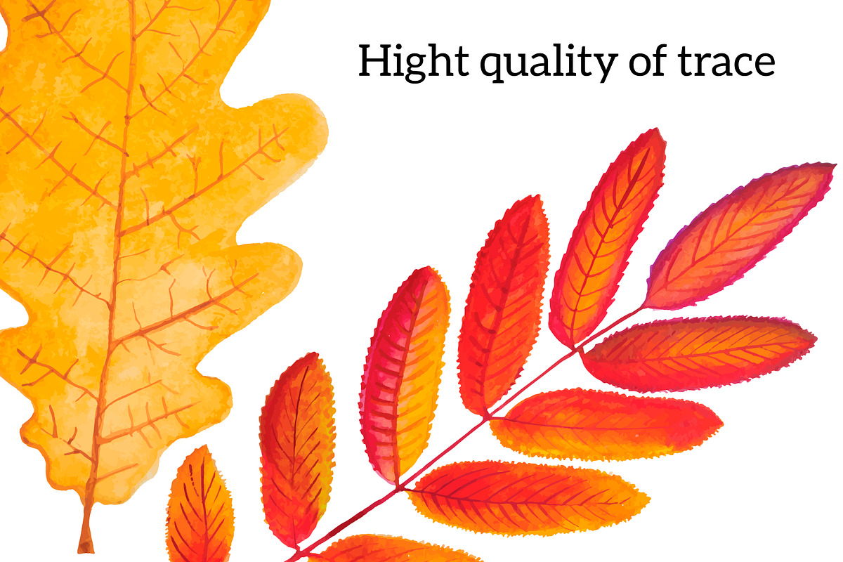 Autumn leaves. Watercolor., an Illustration by Olga Bonitas (Photo 2 of 5)