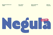 Negula – Playful Rounded Display, a Sans Serif Font by roomspace creative lab (Thumbnail 1 of 13)