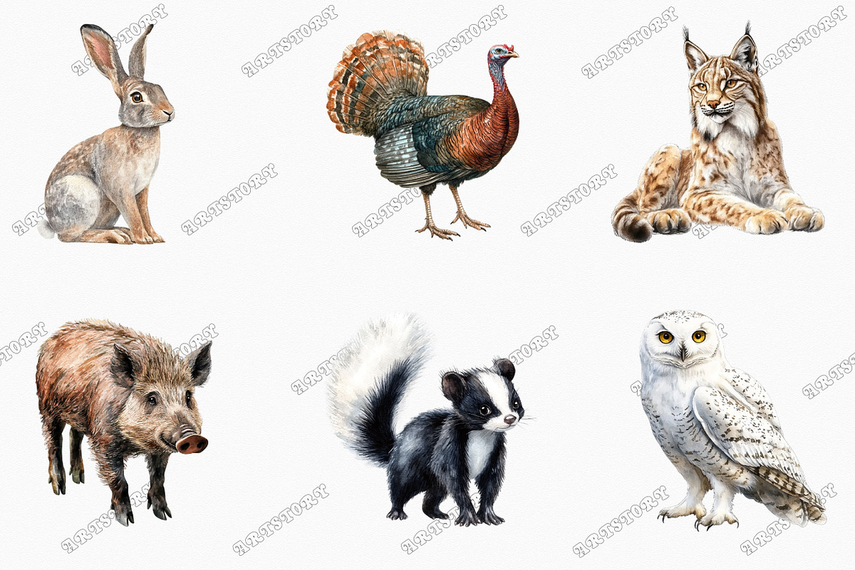 Watercolor Wildlife Nature Animals, an Illustration by designcity5 (Photo 2 of 5)