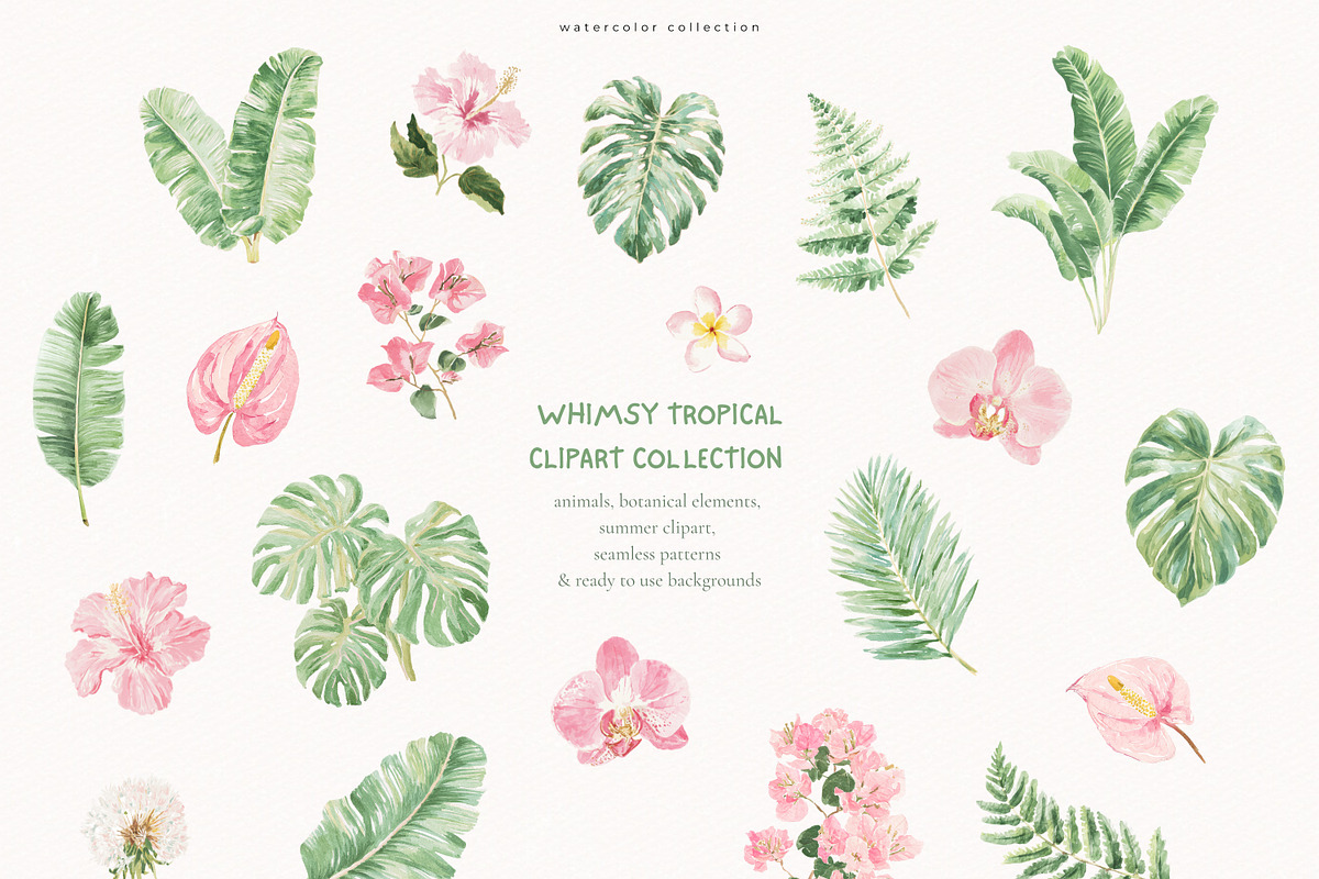 Whimsy Tropical Clipart Collection, an Animal Illustration by PeDe Designs (Photo 3 of 11)