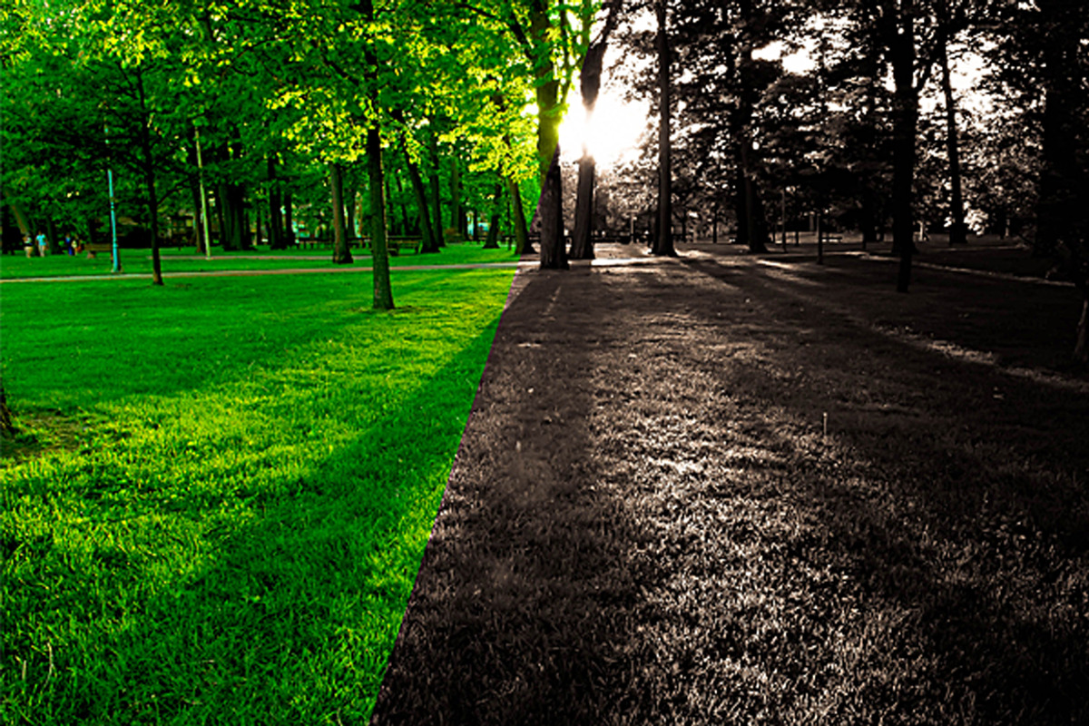 50+ Dramatic Adobe Lightroom Presets preview 4