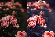 Random Photoshop Actions preview 5