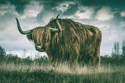 300 Professional Lightroom Presets, an Action Add-On by Madison Colt Studios (Thumbnail 14 of 29)