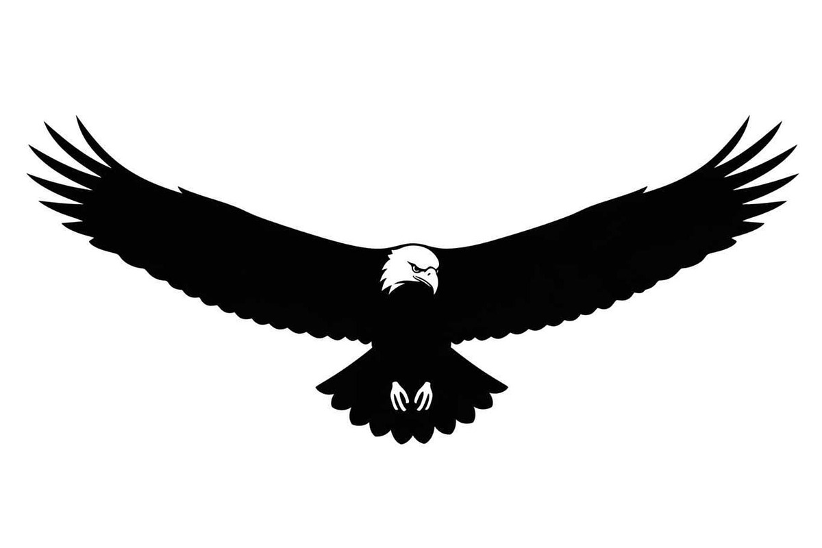 50 Flying Eagle Silhouette Vector Bu, an Illustration by Designs_River (Photo 5 of 51)