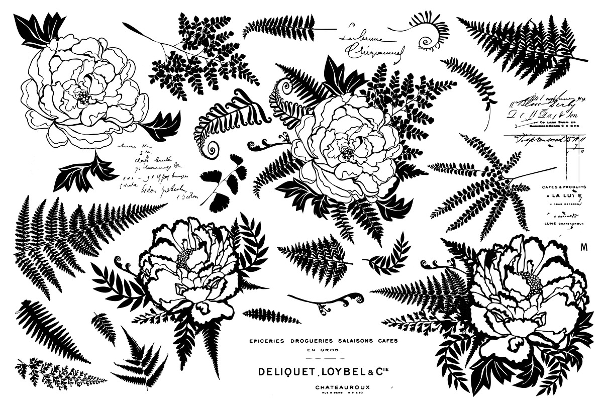 Vintage Peonies and Ferns Graphics, an Illustration by shawnanonna (Photo 2 of 2)