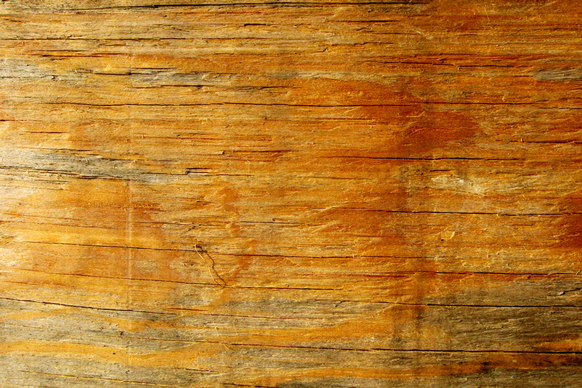 SALE - Plywood Texture Pack, a Texture Graphic by RM Photos and Art (Photo 2 of 4)