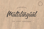 Richard Benoitt - Modern Script Font, a Script Font by Pollux of Geminorum (Thumbnail 7 of 10)