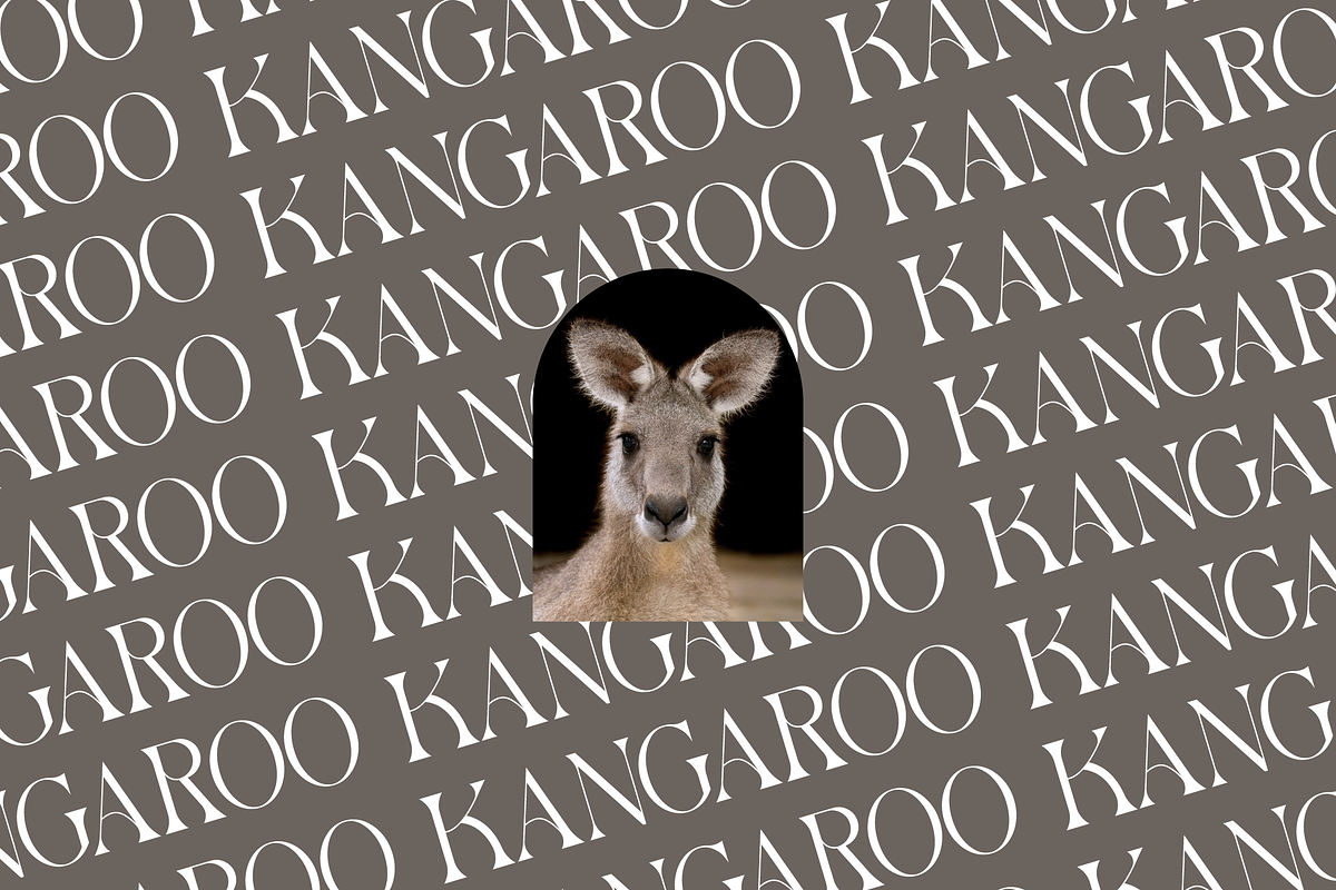 Gaistro Display Font, a Serif Font by Maryamtype Studio (Photo 5 of 8)