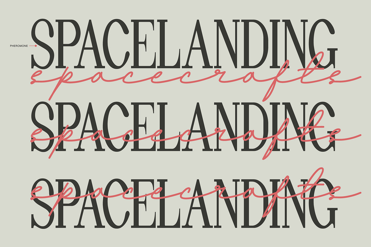 Andalusia a Beautiful Script Font, a Script Font by Lettertype Studio (Photo 18 of 19)