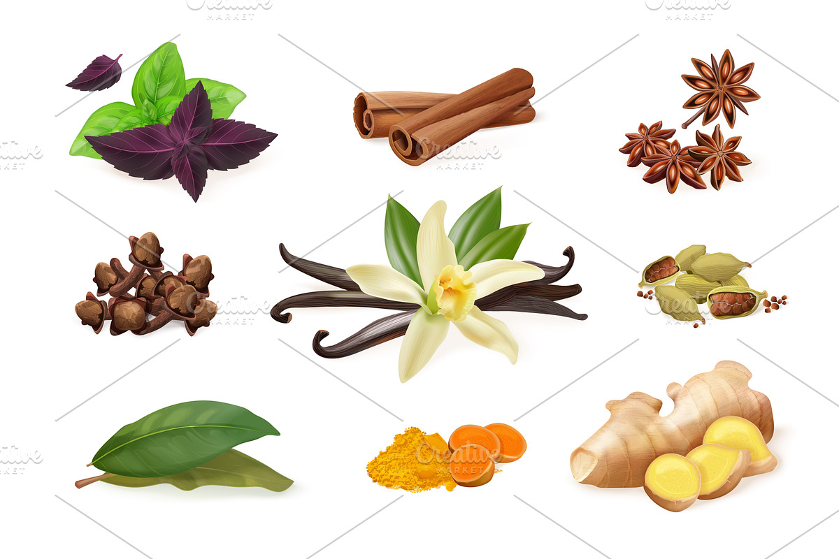 Realistic spices herbs. 3d cooking, a Food Illustration by Stock-Smart-Start