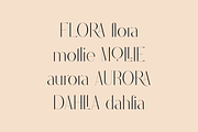 Stolen Love - Elegant serif typeface, a Serif Font by VP Fonts (Thumbnail 8 of 34)