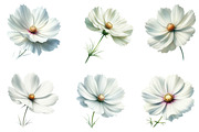 Wedding White Cosmos Flower Clipart, a Decorative Illustration by fashionaddict (Thumbnail 3 of 7)