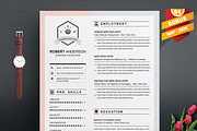 Resume/CV Bundle | 200+ for $29, a Resume Template by ResumeInventor (Thumbnail 115 of 207)