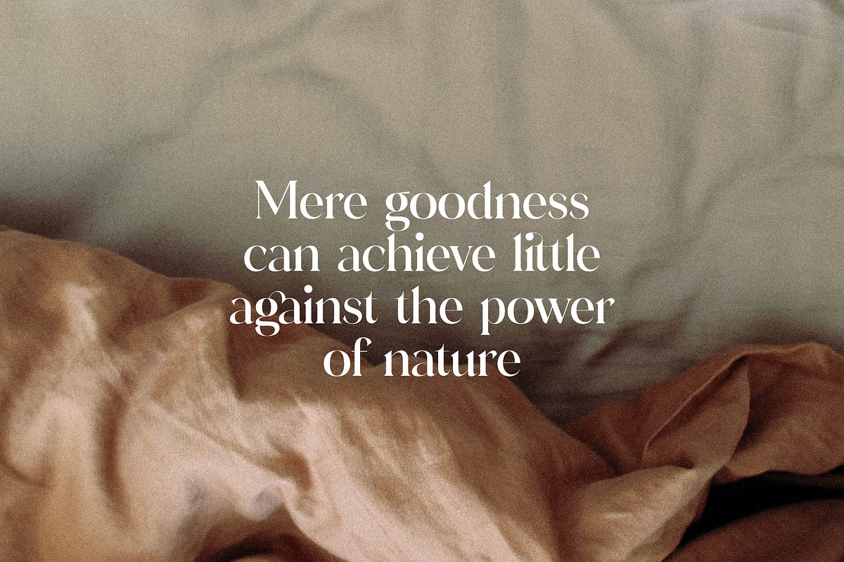 Adorage Modern Ligature Typeface, a Serif Font by Storytype Studio (Photo 8 of 15)
