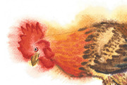 Watercolor Roosters, a Decorative Illustration by Nataliapiache (Thumbnail 4 of 6)