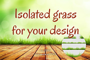 Set of isolated grass, a Texture Graphic by RM_design (Thumbnail 1 of 3)