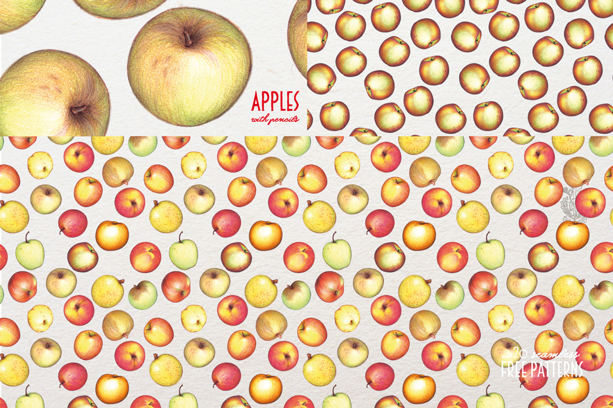Apples With Colour Pencils + Bonus, a Food Illustration by Andrea Tardivo (Photo 11 of 15)
