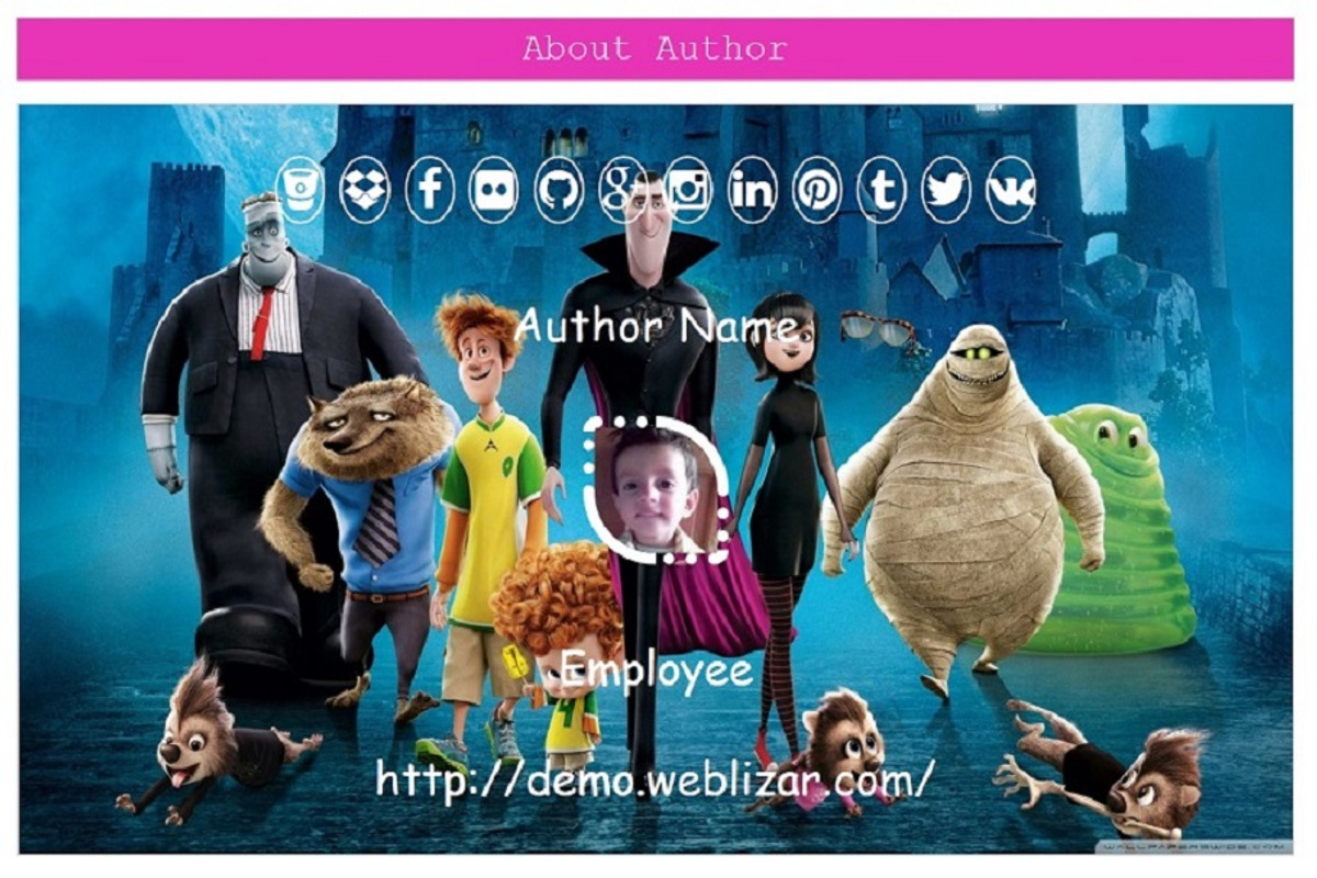 About Author Pro WordPress Plugin, a Plug-in Add-On by Weblizar Themes & Plugin (Photo 2 of 5)
