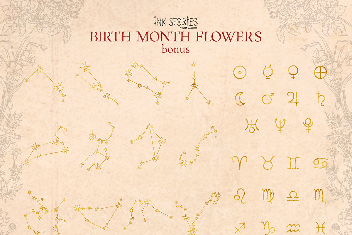 Birth Month Flowers Handcrafted, a Decorative Illustration by Ink Stories (Photo 14 of 15)