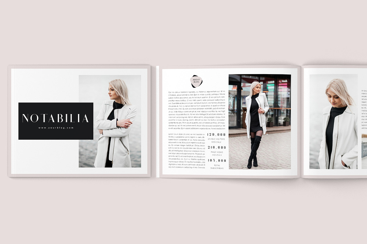Media Kit - 5 Page, a Stationery Template by Eesome Design Studio (Photo 3 of 17)