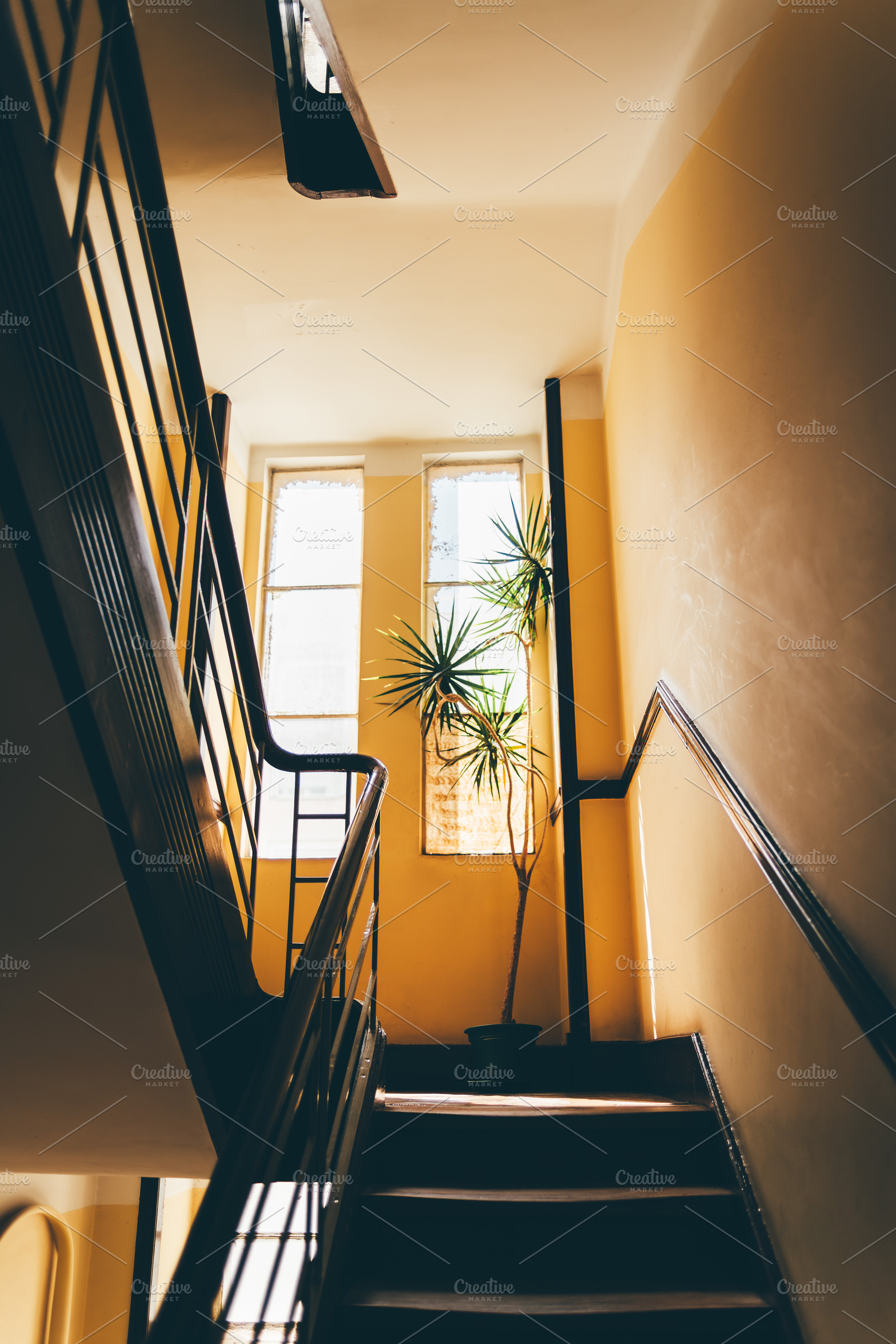 Stairwell with sunlight and plant, an Architecture Photo by SkyNext