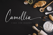 Andaman // Modern Calligraphy Font, a Script Font by Pen Culture (Thumbnail 9 of 12)
