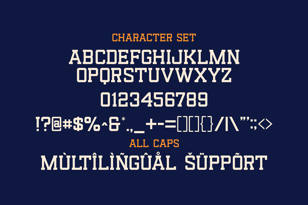 Reach - Display Slab Serif, a Slab Serif Font by Salamahtype (Photo 6 of 6)