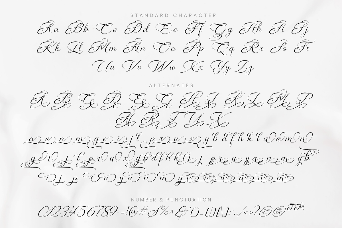 Musalina - Calligraphy Script Font, a Script Font by agnyhasyastudio (Photo 7 of 9)