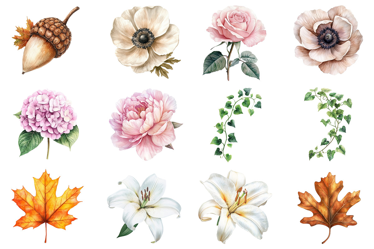 Vintage Botanical Clipart, an Illustration by CitraGraphics (Photo 3 of 4)