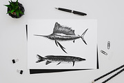 Fishing hand drawn logo elements, an Animal Illustration by Akimo Mia (Thumbnail 5 of 5)