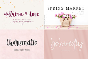 The Logo And Branding Font Bundle