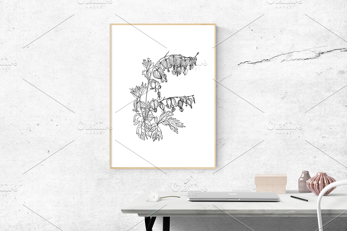 Dicentra with gorgeous flowers, a Decorative Illustration by Good Studio (Photo 4 of 5)