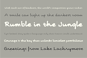 Stanley Hollister - Premium Bundle, a Handwritten Font by Punch (Thumbnail 3 of 8)