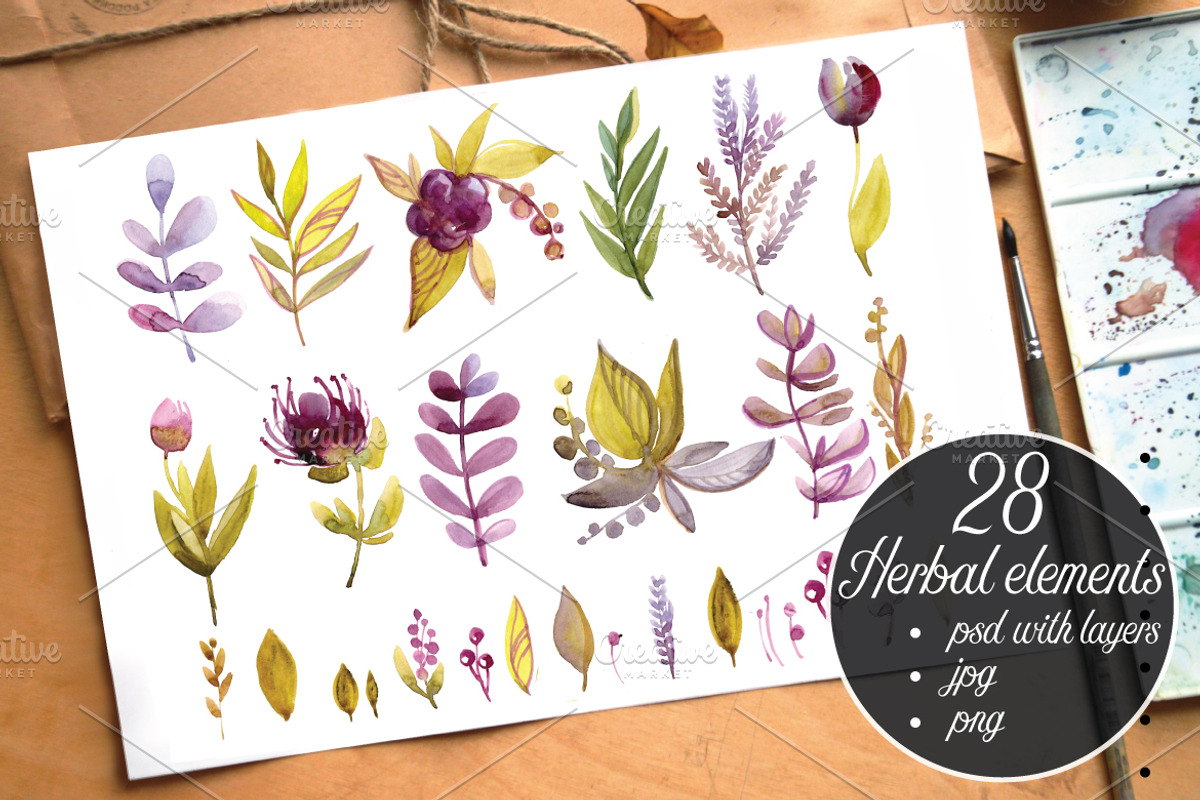 Watercolor Violet herbs and flowers, an Illustration by Olesya Morokhovets (Photo 1 of 5)