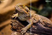 Photo Painter Photoshop Actions 1, an Action Add-On by Design Panoply (Thumbnail 7 of 7)