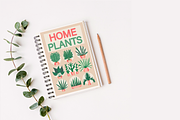 20+ icons of home plants in pots, a Solid Icon by ОльгаМороз (Thumbnail 4 of 14)