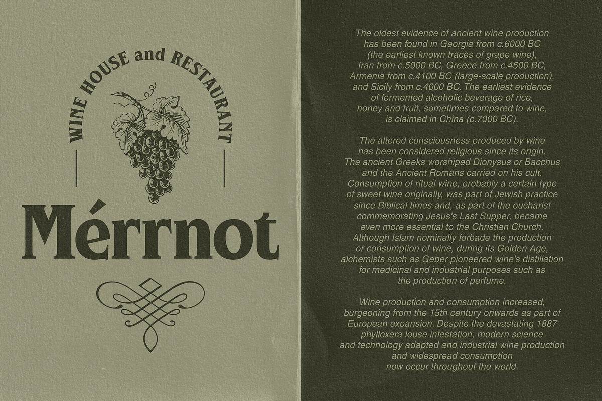 Westnob - Classic Display Serif, a Serif Font by Twicolabs Fontdation (Photo 2 of 9)