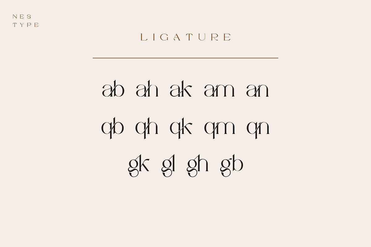 Vilaka Modern Serif, a Serif Font by Nestype (Photo 5 of 10)