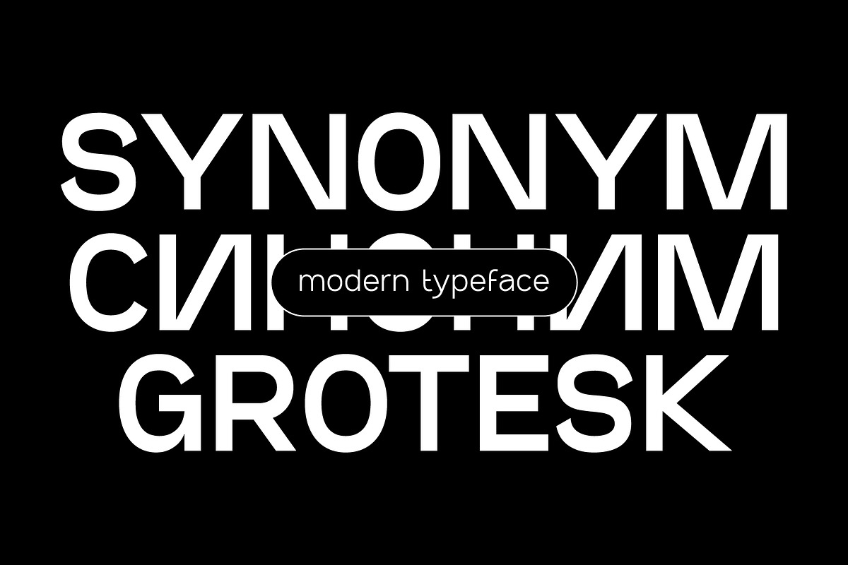 SK Synonym Grotesk — Modern Typeface, a Font by Shriftovik Type Foundry (Photo 2 of 15)