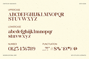Borello Modern Editorial Serif Font, a Serif Font by Vadovastd (Thumbnail 2 of 7)