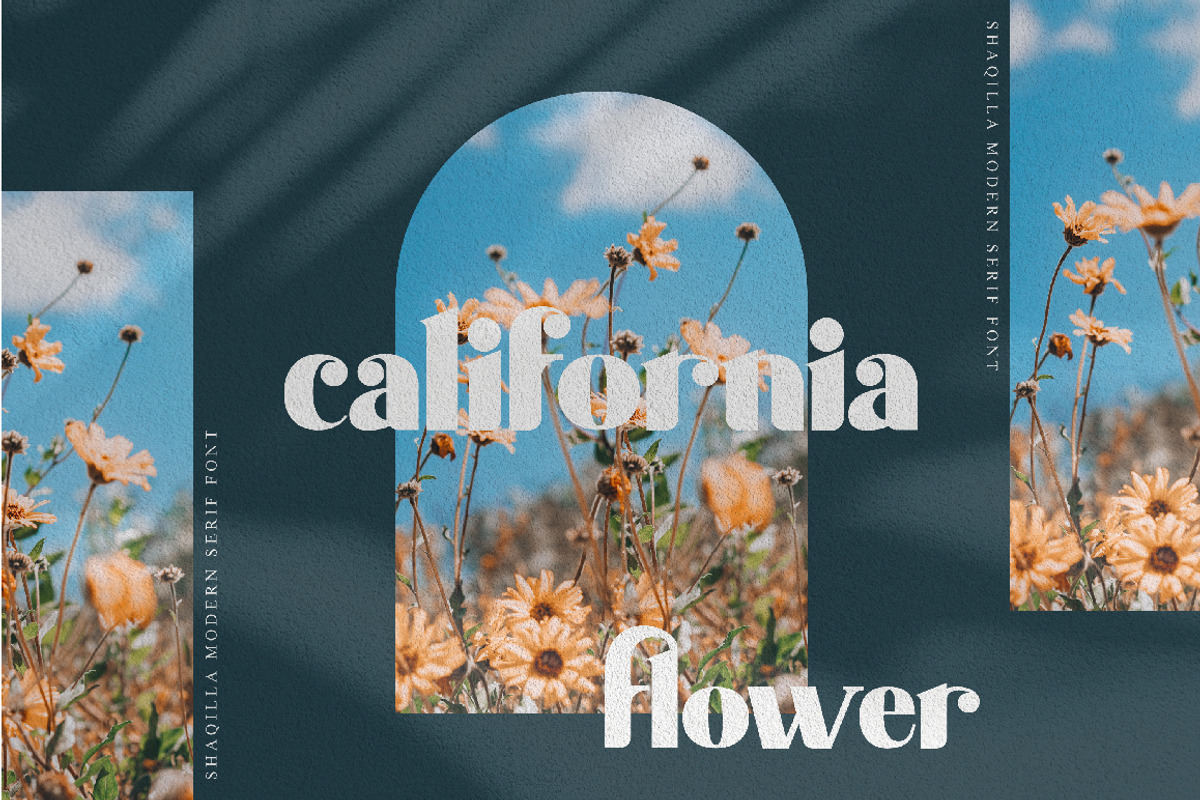 Shaqilla - modern serif, a Serif Font by ribethstudio (Photo 9 of 15)
