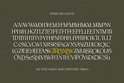Spadore | 6 Font Files, a Serif Font by Pista Mova (Thumbnail 15 of 18)