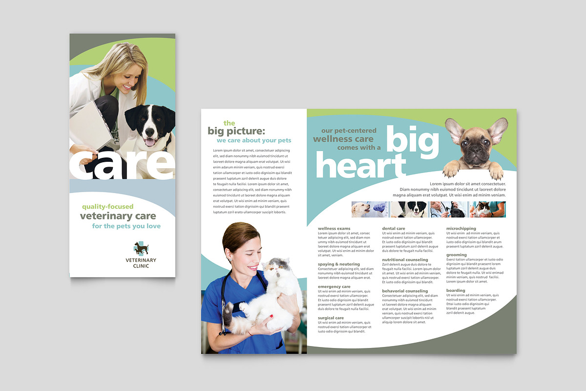 Veterinary Clinic Brochure Template, a Brochure Template by StockLayouts (Photo 4 of 4)