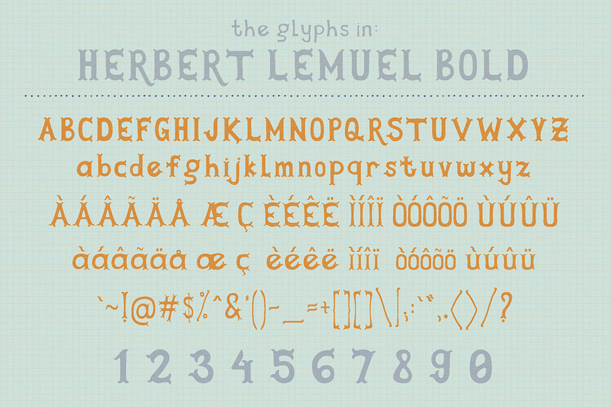 Herbert Lemuel Script, a Sans Serif Font by BlueRobinDesignShop (Photo 9 of 13)