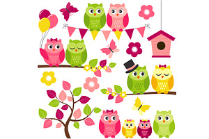 Summer Owls