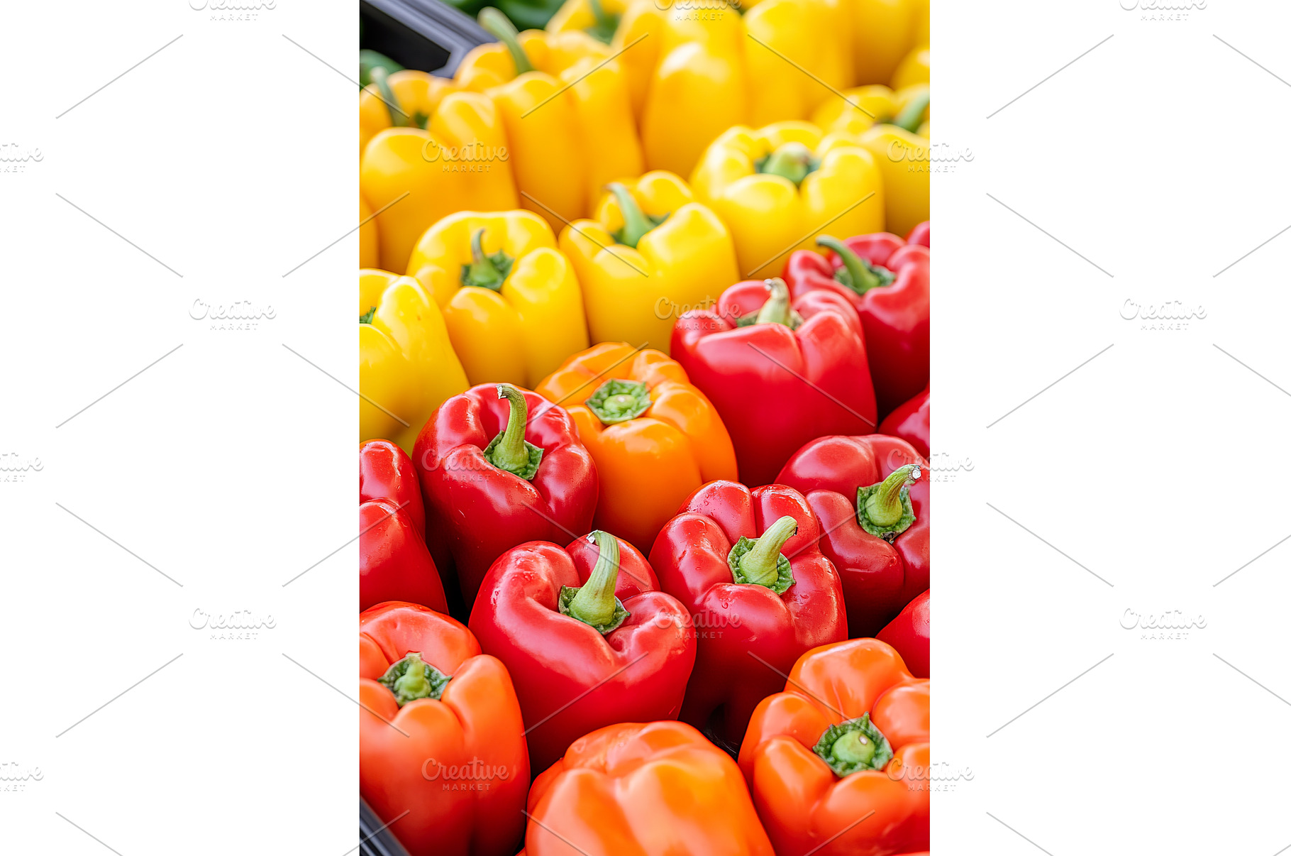Colorful bell peppers in rows, a Food & Drink Photo by Lermont51