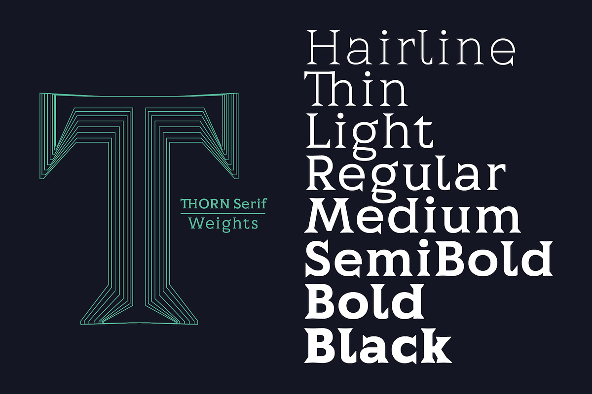 Thorn Serif, a Serif Font by Type Forward (Photo 5 of 8)